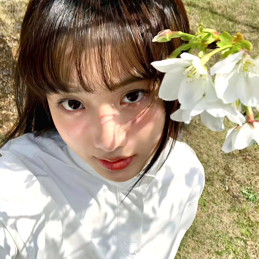 九域之天眼崛起